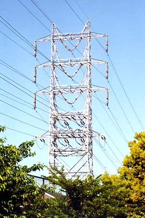 ��������ł��@�E�E�E�@�͎m�S���@���O���|�T