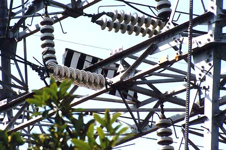 真ん中にゼブラマーク