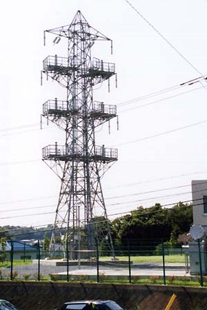 �c�����|�T�T