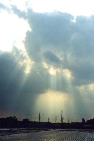 天使の梯子の先には・・・