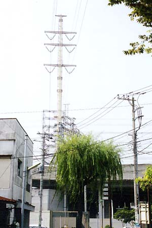 �������̔E�ғS��