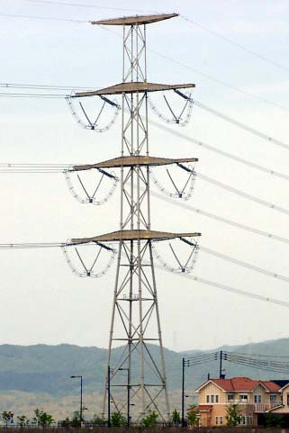 �s���r�����S��