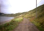 のどかな海岸線を歩く