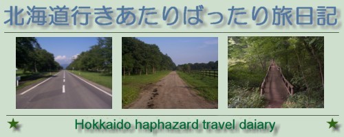 �����L�^�C�g���摜