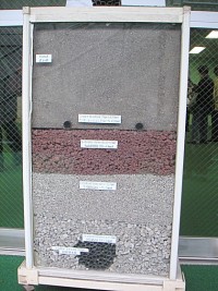 An underground cross-section of the field