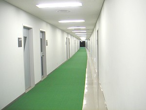 The player's passage out to the field