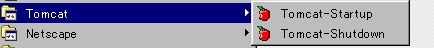 tomcat2.gif (2515 oCg)