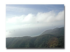 ssak-fly12.jpg