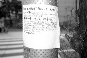 nazo no bira