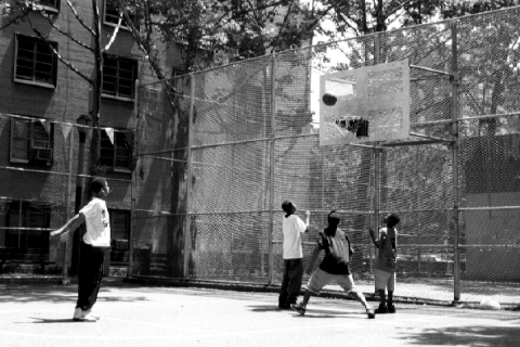play the Basketball