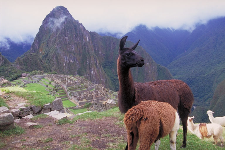 }`s` Machupicchu