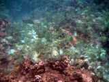 723PICT0004.jpg