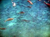 724PICT0012.jpg