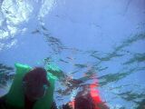 724PICT0020.jpg