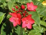 724PICT0031.jpg