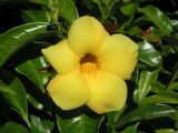 724PICT0033.jpg
