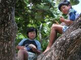 727PICT0025.JPG