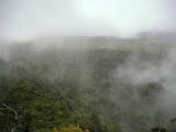 731PICT0029.JPG