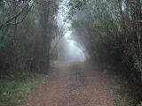 731PICT0032.JPG