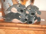 731PICT0074.JPG