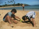 801PICT0016.JPG