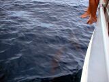 802PICT0013.jpg