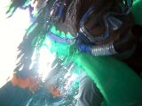 802PICT0060.jpg