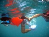 802PICT0080.jpg