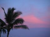 803Pict0111.jpg