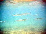 804Pict0069.jpg