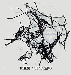 �[���ۂ̌������ʐ^