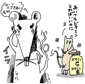 �X�g���X�Ƀr�^�~��C+E�̕�[������