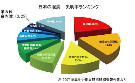 日本の眼病　失明率ランキング