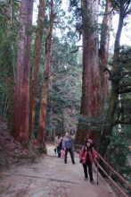 西国三十三所　第二十七番　書写山圓教寺