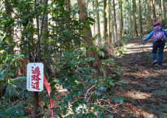 世界遺産　高野参詣道　三谷坂