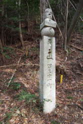 熊野古道　高野山参詣道　三谷坂～町石道