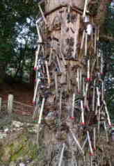 丹生酒殿神社・鎌神社