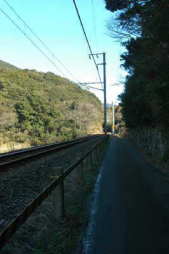 熊野古道　大辺路　タオの峠