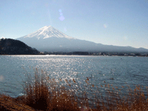 河口湖からの眺め