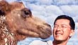 Camel and MINEW, Gobi1999