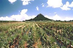 �摜�w��R(1)�x