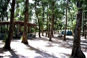 �摜�w���N���s��(2)�x