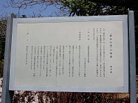 �����V�� �T�v