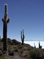 CXEfEyXJ Isla del Pesca