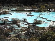 ܍ʒr@Multi Coloured Pool