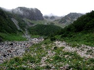  Yarisawa