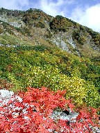 gtƖk䍂x@Kita-Hotaka and Leaves in Yellow and Red