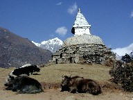 NW@Khumjung