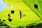 クリックでページへ