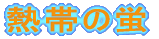 熱帯の蛍